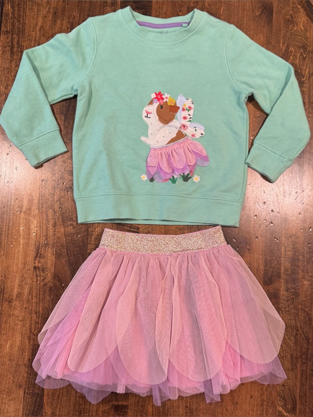 Beautiful Mini Boden Guinea Pig Sweatshirt and Tulle Skirt Set